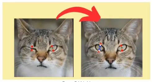 DragGAN AI tool website example showing cat image editing before and after using drag points